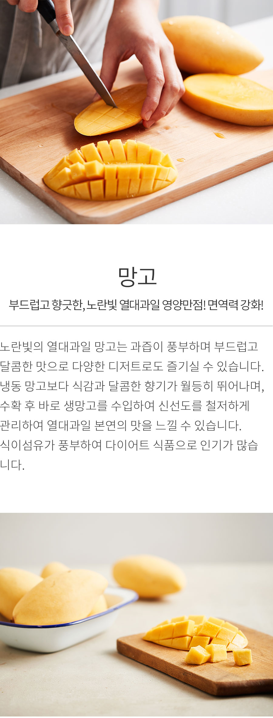 상세정보 이미지