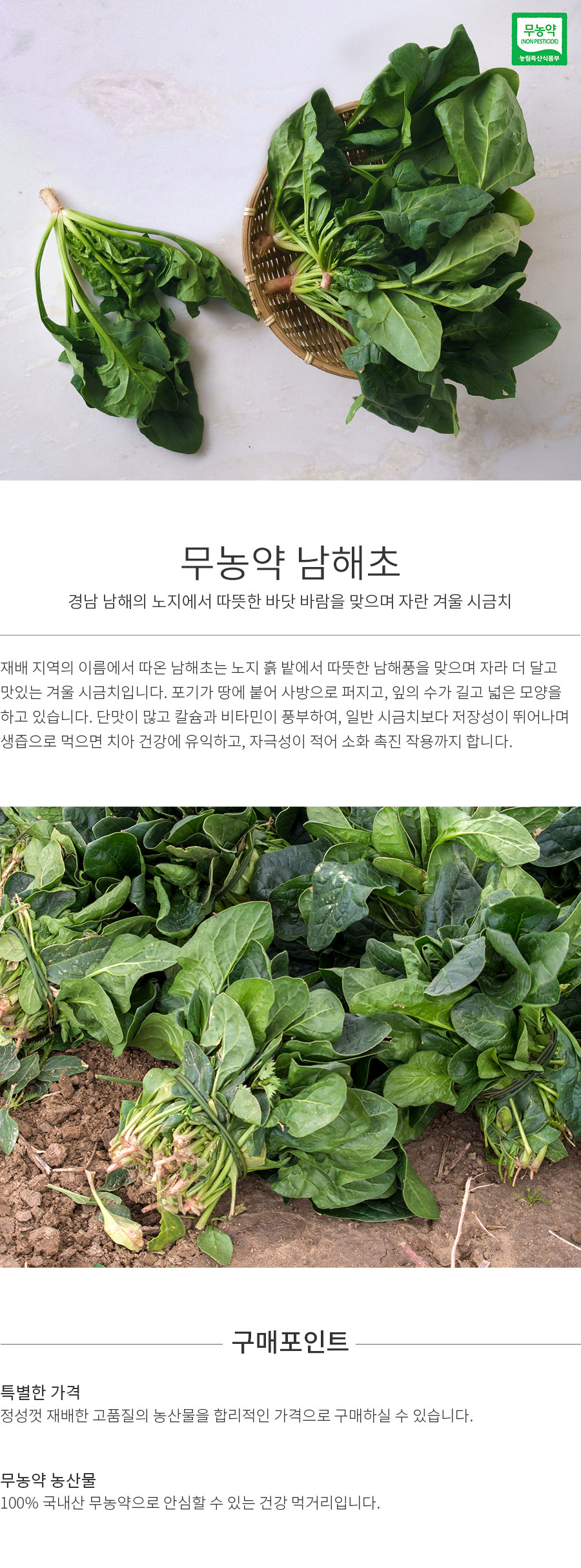 상세정보 이미지