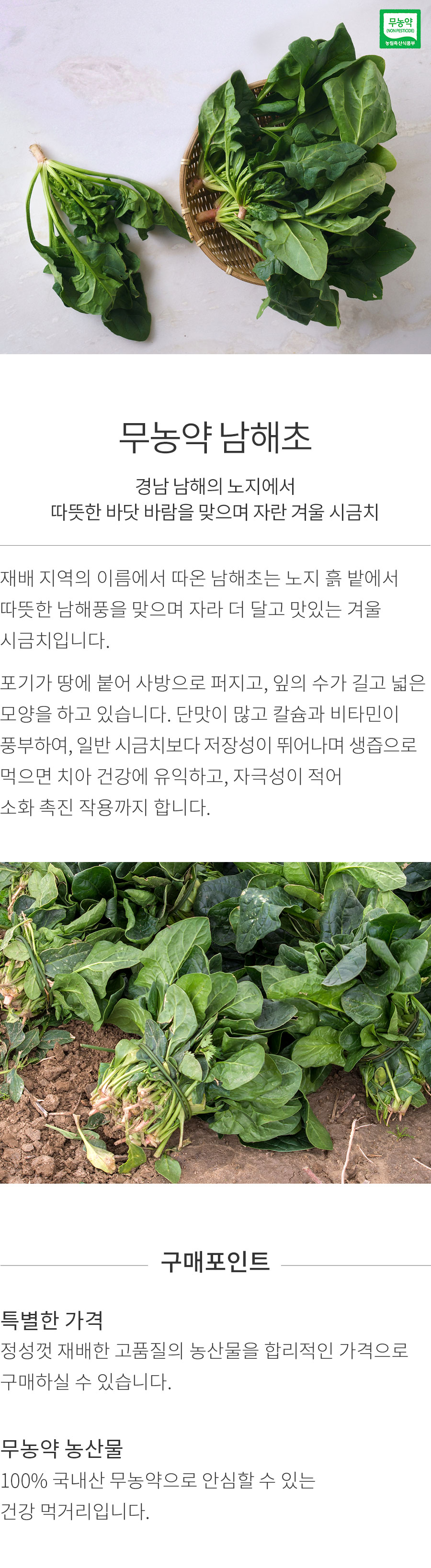 상세정보 이미지