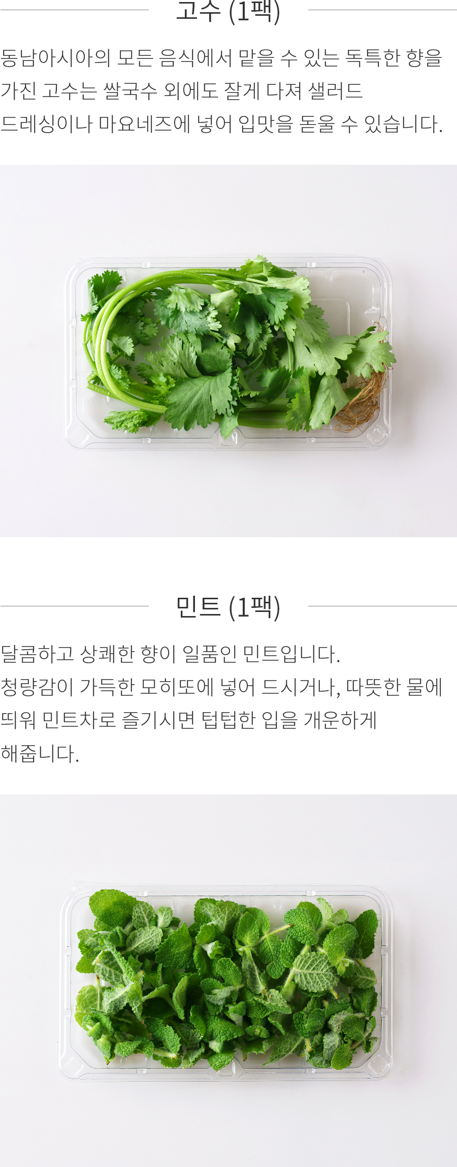 상세정보 이미지