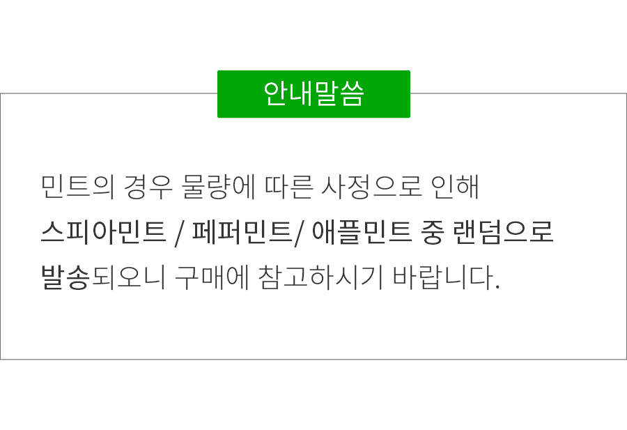 상세정보 이미지