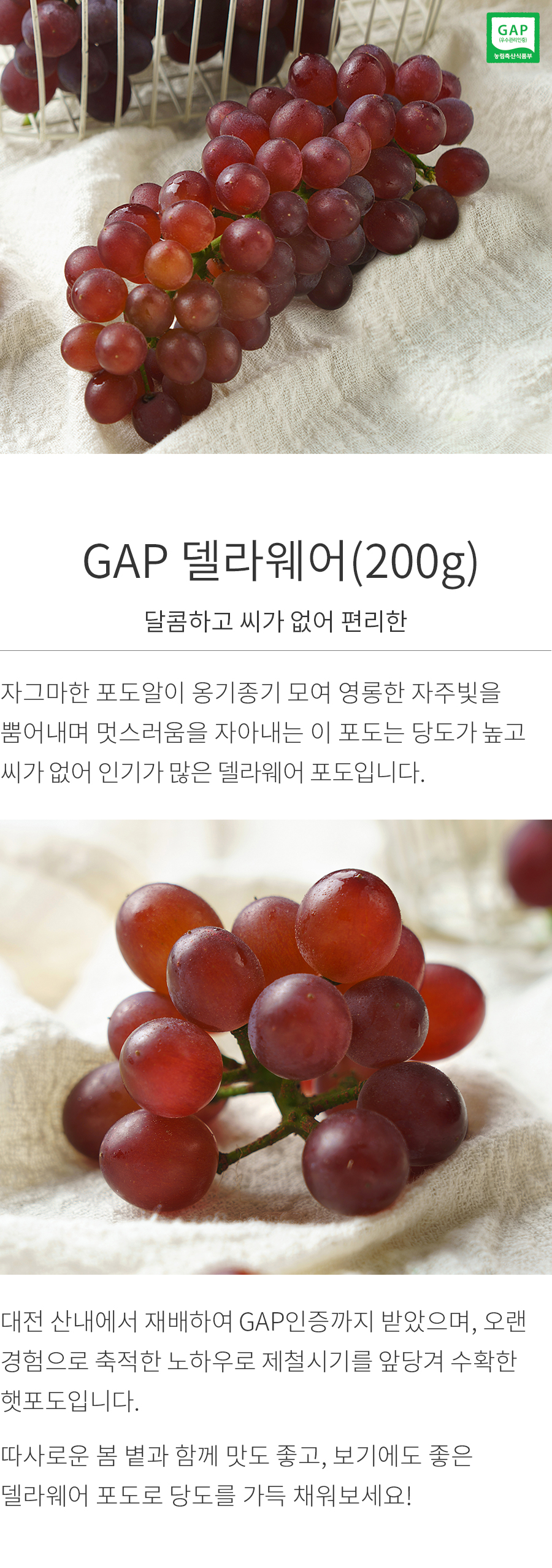 상세정보 이미지