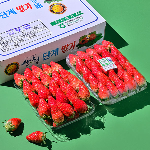 [프리미엄딸기] 장희 딸기(산청단계딸기) 750g 1팩 대표이미지 섬네일