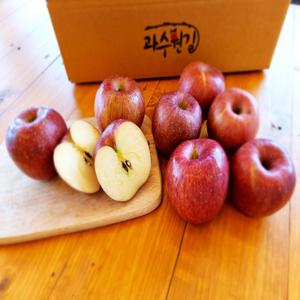 [가정용] 산지직송 햇 빨간 사과 (2.5kg/3.5kg/7.5kg) 대표이미지 섬네일
