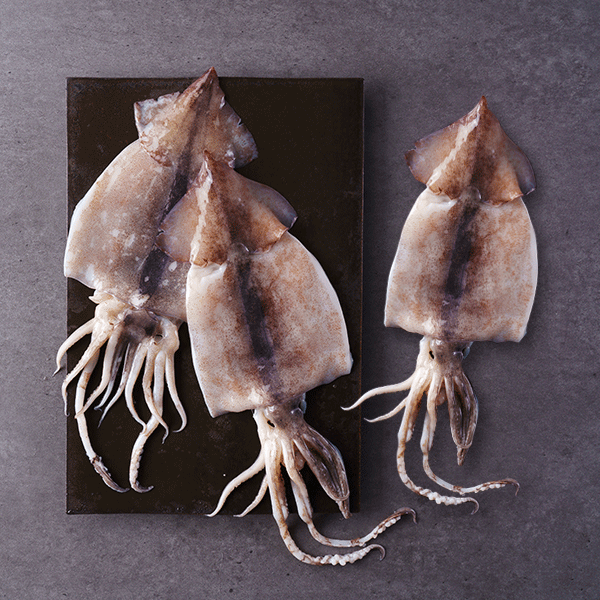 손질오징어 (3미, 450g 국내산 냉동비축품) 대표이미지 섬네일