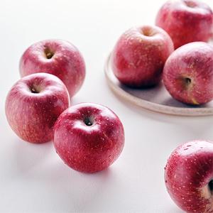 [소백산희여골]GAP 사과 (햇홍로/1.5kg내외/5-7과) 대표이미지 섬네일