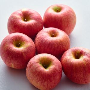 [쿠폰가: 8,000원]<br> GAP저탄소 의성 사과(6입/1.6kg)