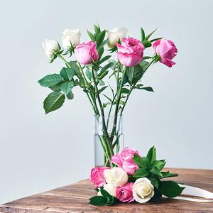 [주말특가]올포러브 장미 꽃다발(1다발)