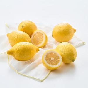 미국산 점보 레몬(6입/900g내외)