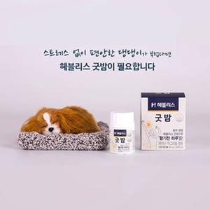 헤블리스 굿밤 1개월분(60정) 대표이미지 섬네일