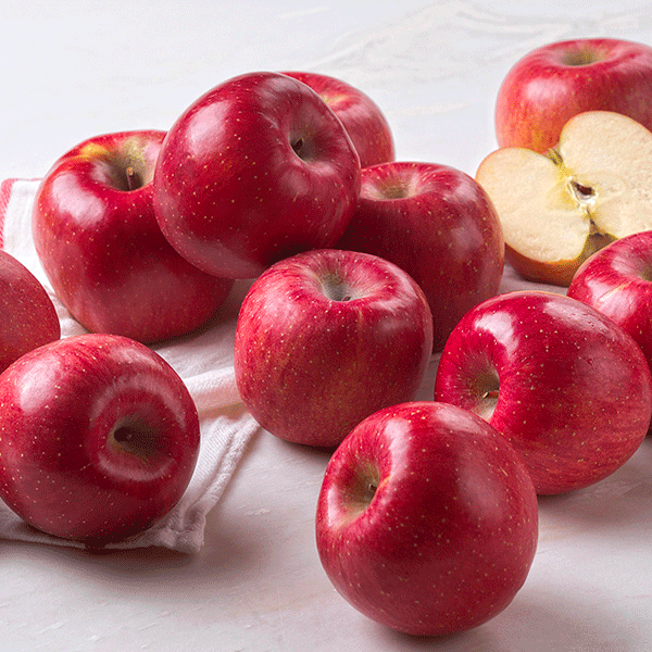 [사과의명가]GAP 저탄소 고당도 사과 (1.3kg) 대표이미지 섬네일